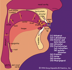 http://proteus2001.narod.ru/802/britanica/16.gif